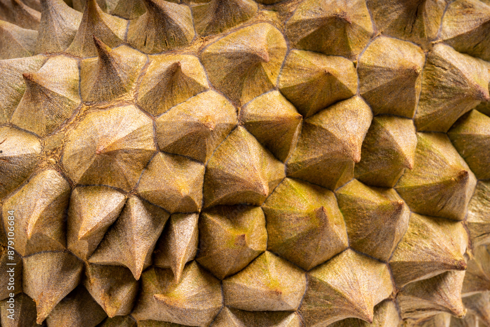 Close up Thorn of Durian The King of (Tropical) Fruits for background concept. Close up Thorn of Durian The King of (Tropical) Fruits for background concept.