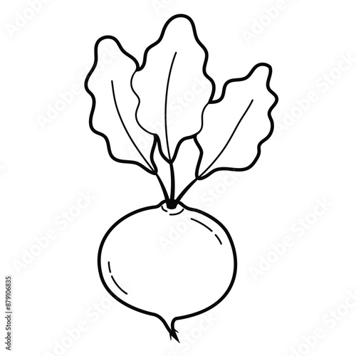 Beet. Simple outline illustration, isolated on white background. Design element