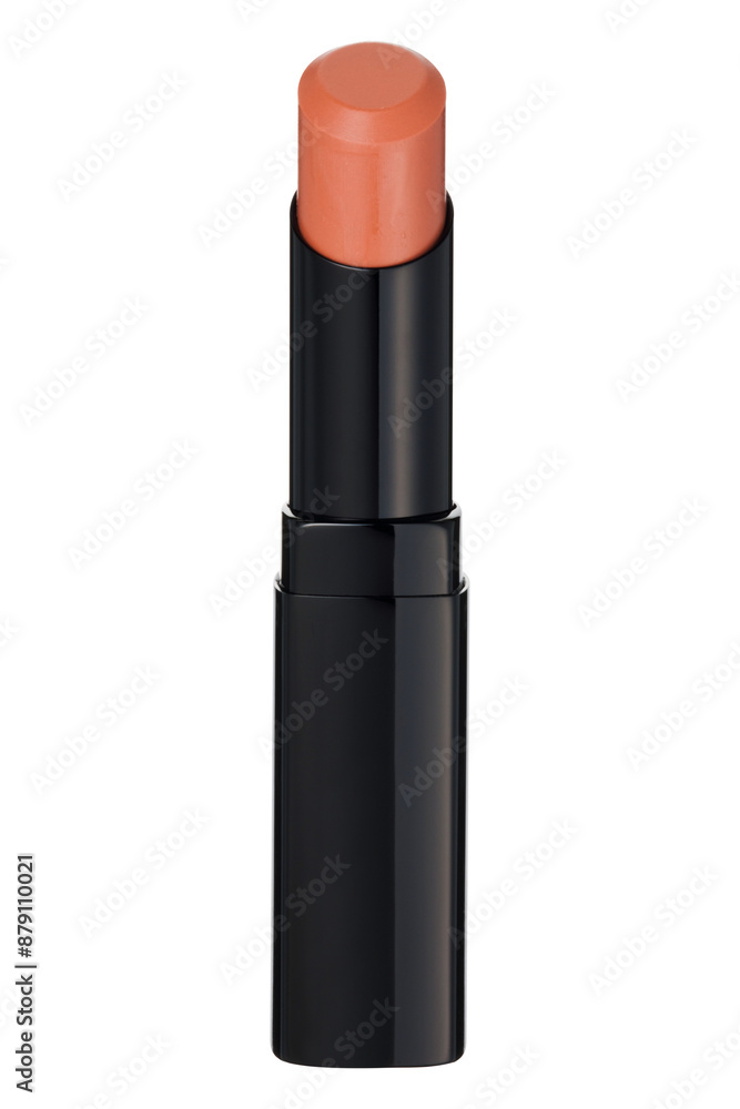 口紅(lipstick) 口紅(lipstick)