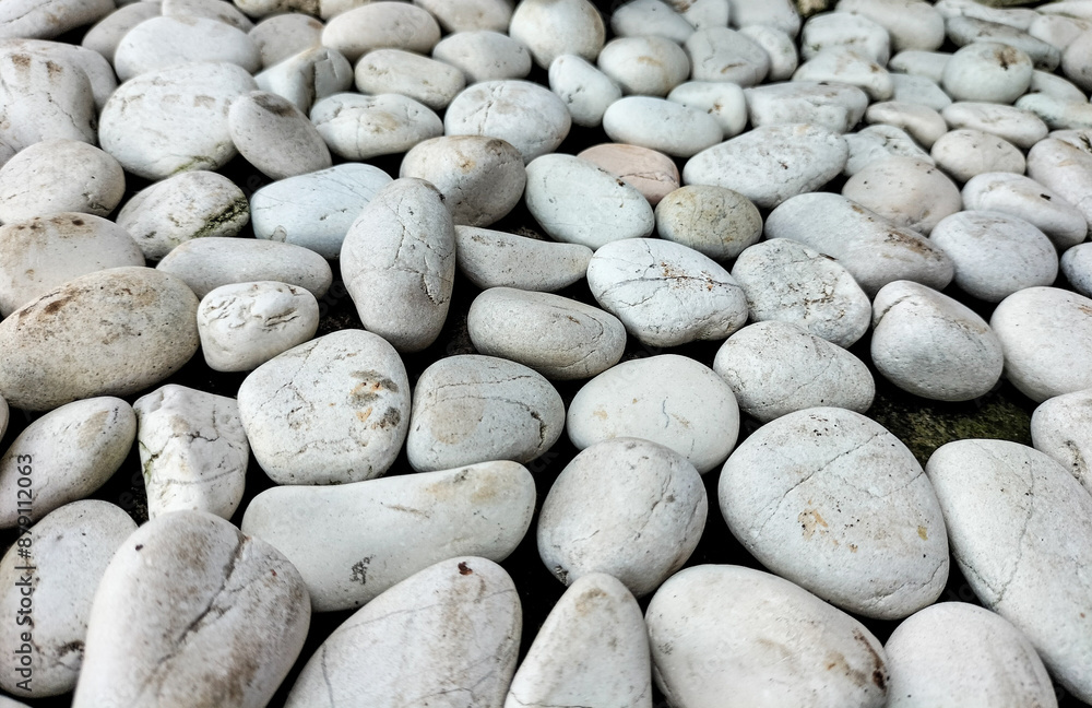 Closeup view of white coral. White stone background.
Closeup view of white coral. White stone background.