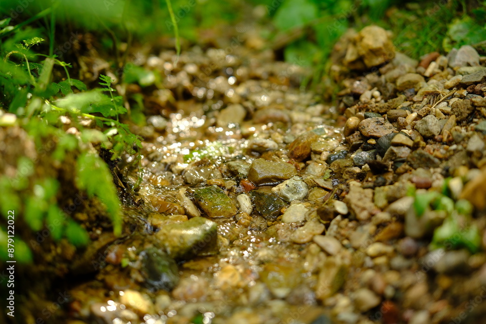 forest spring, stream, small river. close-up, top view. water flows over small stones. summer light, sun at sunset forest spring, stream, small river. close-up, top view. water flows over small stones. summer light, sun at sunset