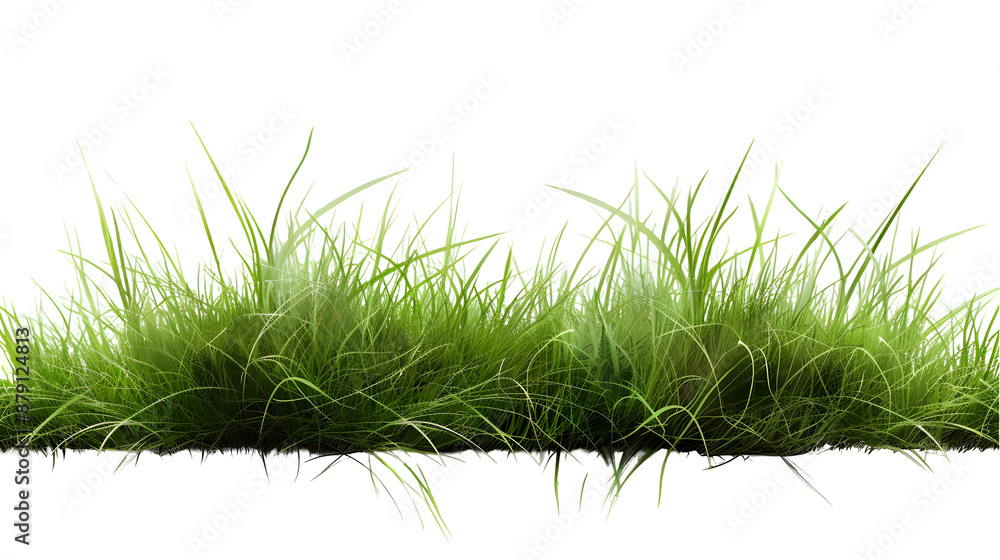 realistic grass isolated on transparent background,generative ai realistic grass isolated on transparent background,generative ai