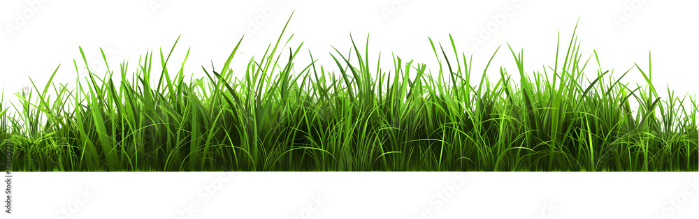 Fototapeta premium realistic grass isolated on transparent background,generative ai