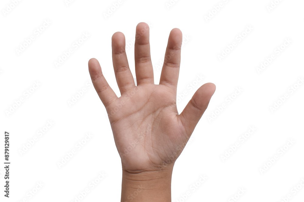 Child's hand showing five fingers isolated on white background. hands show five counts Child's hand showing five fingers isolated on white background. hands show five counts