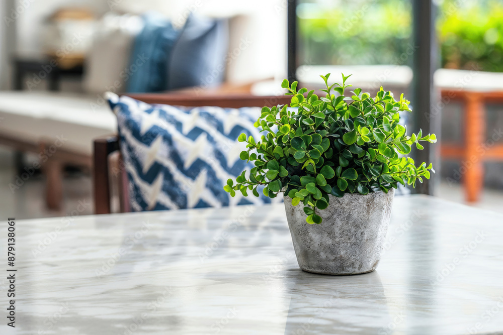 Small potted plant adding a touch of nature to the elegant interior of a contemporary living room Small potted plant adding a touch of nature to the elegant interior of a contemporary living room