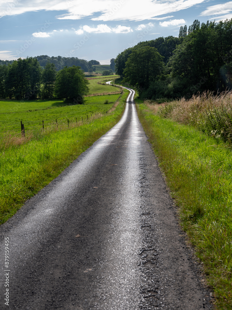 country road in french countryside of champagne ardennes country road in french countryside of champagne ardennes