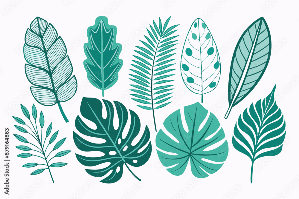 Fototapeta premium set of different tropical leaves vector illustration