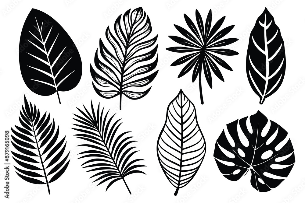 set of different tropical leaves vector illustration set of different tropical leaves vector illustration