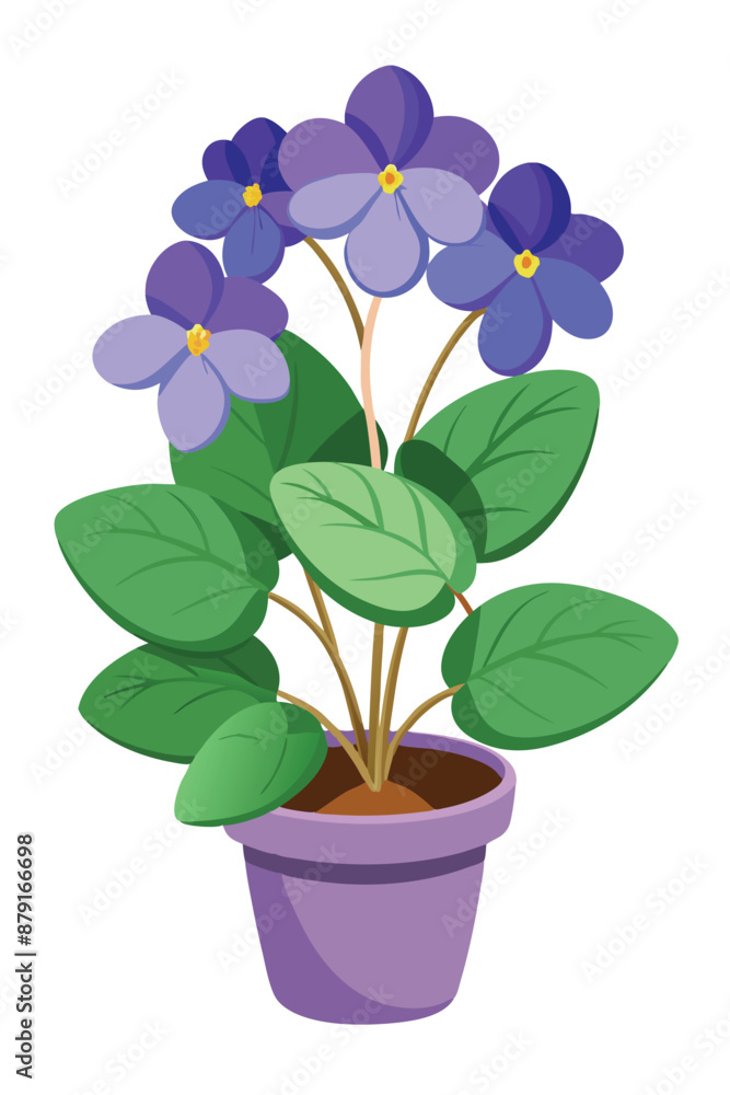 Naklejka premium A beautiful african violets plant vector illustration