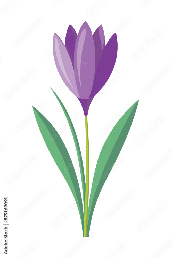 Crocus plant minimal design vector illustration Crocus plant minimal design vector illustration