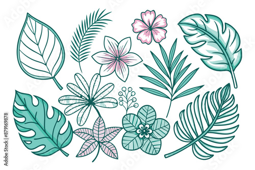 set of different tropical leaves vector illustration