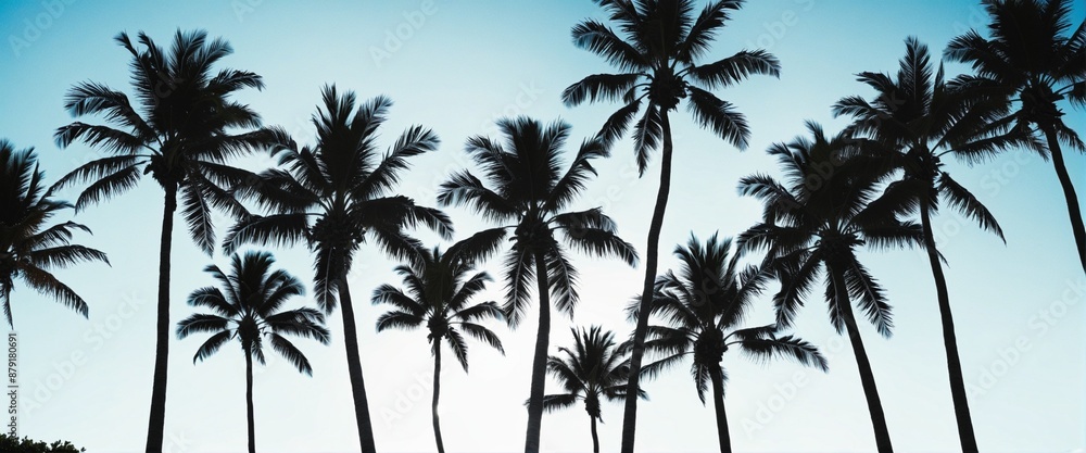 Tropical caribbean summer vacation travel beach palms Tropical caribbean summer vacation travel beach palms
