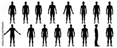 Human body silhouette set vector design big pack of illustration and icon