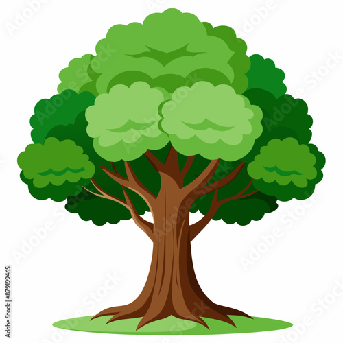Cartoon tree with green leaves on white background