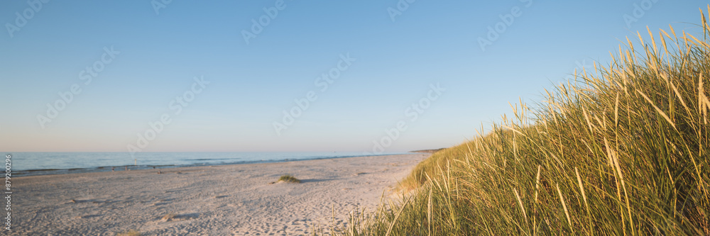 Banner showing a beautiful wide beach on the Baltic Sea. Grasses on the dune in the foreground. Copy space. Slajszewo, Choczewo, Poland