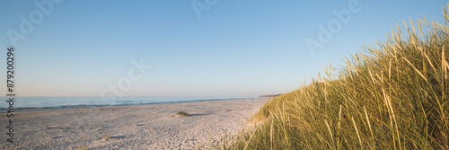 Obraz na płótnie Banner showing a beautiful wide beach on the Baltic Sea. Grasses on the dune in the foreground. Copy space. Slajszewo, Choczewo, Poland w salonie