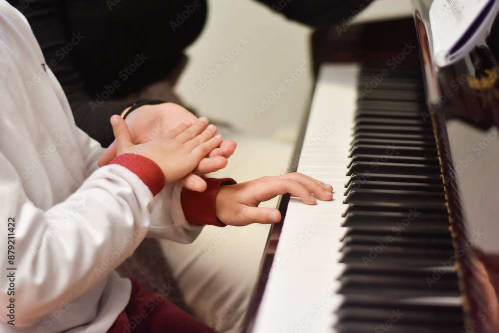 Fototapeta premium INSTRUMENTOS MUSICALES