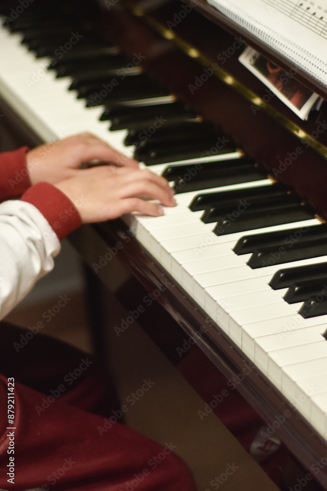 Fototapeta premium INSTRUMENTOS MUSICALES