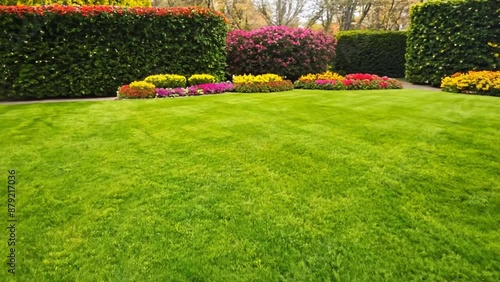 Beautiful manicured lawn and flowerbed with deciduous shrubs on plot or Park outdoor. Green lawn closely mowed grass. 