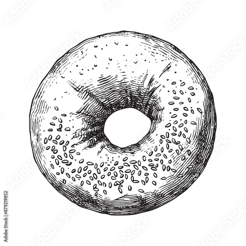 Bagel illustration, hand drawn ink drawing isolated on white background, vector illustrations