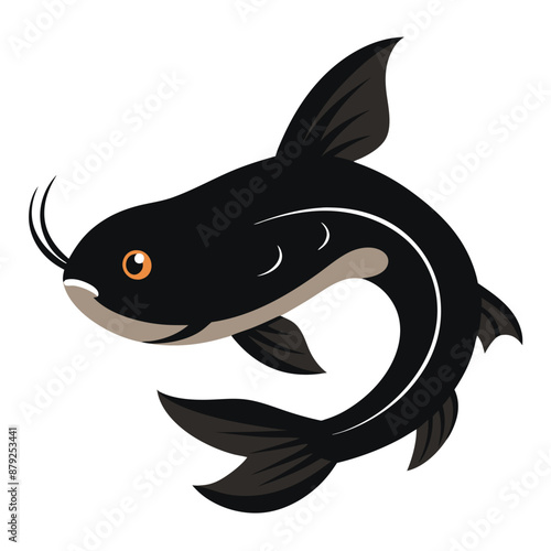 catfish on white background