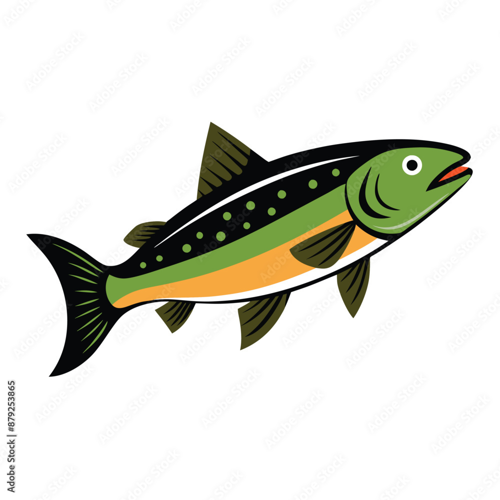 trout fish on white background trout fish on white background