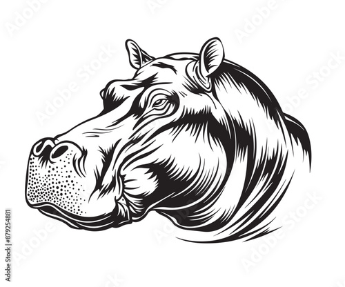 isolated hippo face
