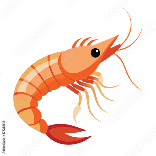illustration of shrimp