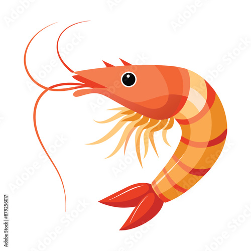 shrimp white background