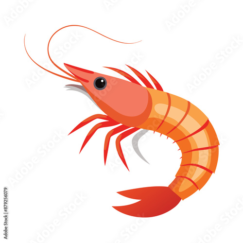 shrimp white background