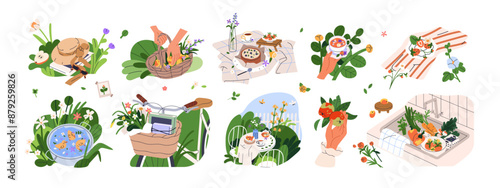 Countryside rural set. Bicycle, flowers in basket, picnic, garden table, tea in hand. Cozy cottagecore aesthetic, style, mood. Summer nature. Flat vector illustrations set isolated on white background