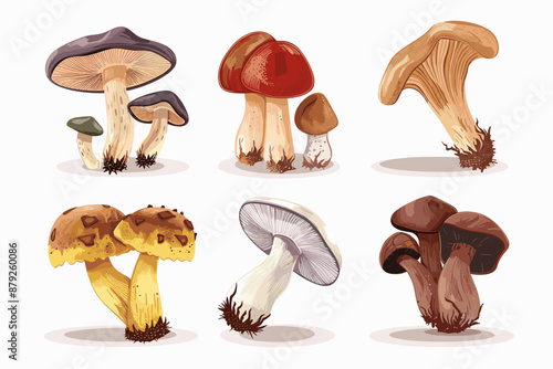 Set with edible and poisonous mushrooms, chanterelles, champignons, porcini mushroom, fly agarics and toadstools, cartoon style. Vector illustration isolated on white, hand drawn, flat design