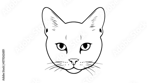 black and white illustration of a cat face in vector