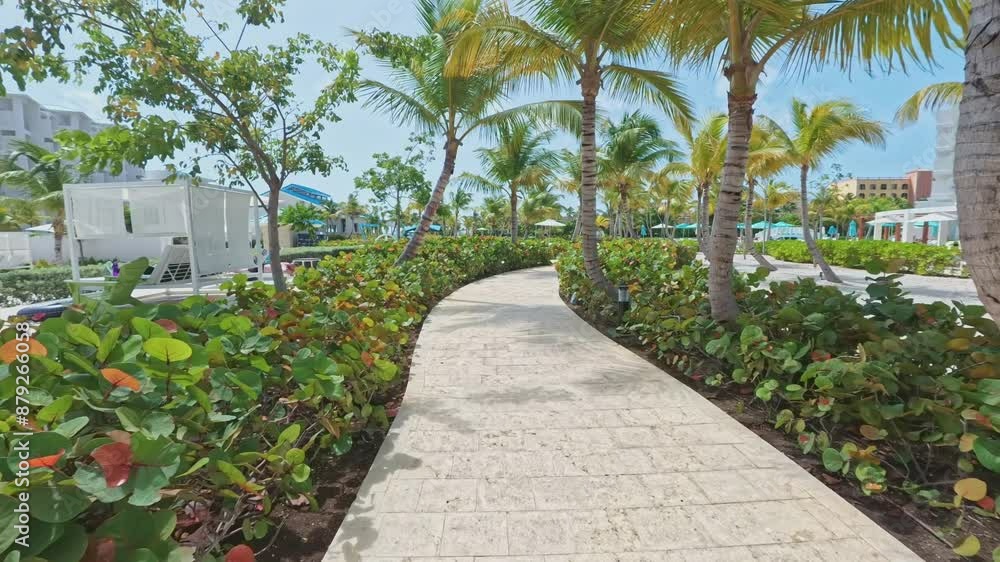 Exploring the hotel path at the luxurious and beautiful Margarita resort with coconut trees during the hot sun in Venezuela. forward shot. Exploring the hotel path at the luxurious and beautiful Margarita resort with coconut trees during the hot sun in Venezuela. forward shot.