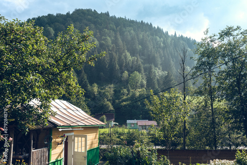 The Carpathian region of Ukraine near the village of Yaremche photo