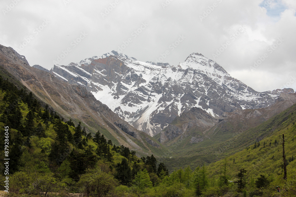 Obraz premium landscape in the mountains