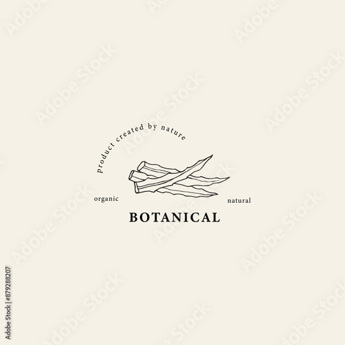Hand drawn aloe vera leaves logo