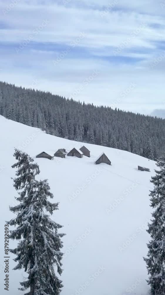 Aerial view of Snow-Covered Pine Trees and Cabins in Tranquil Mountain Landscape at Sunrise Aerial view of Snow-Covered Pine Trees and Cabins in Tranquil Mountain Landscape at Sunrise
