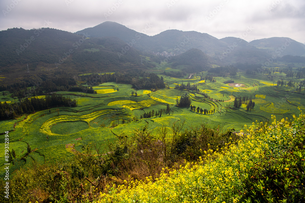 Obraz premium The county of Luoping in eastern Yunnan is noted for its beautiful scenery in spring.