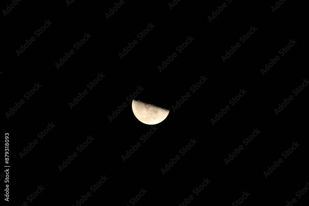 下弦の月 Halfmoon 下弦の月 Halfmoon