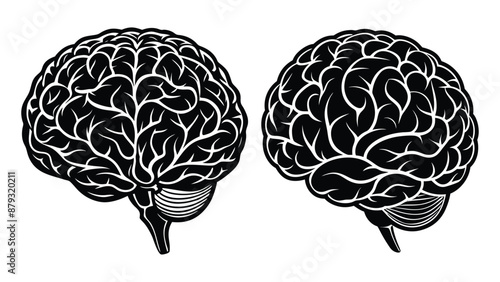 human brain silhouette vector illustration