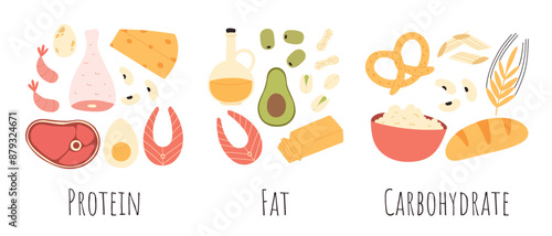 Set of healthy macronutrients. proteins, fats and carbs or carbohydrates presented by food products. Flat vector illustration of nutrition categories isolated on white background