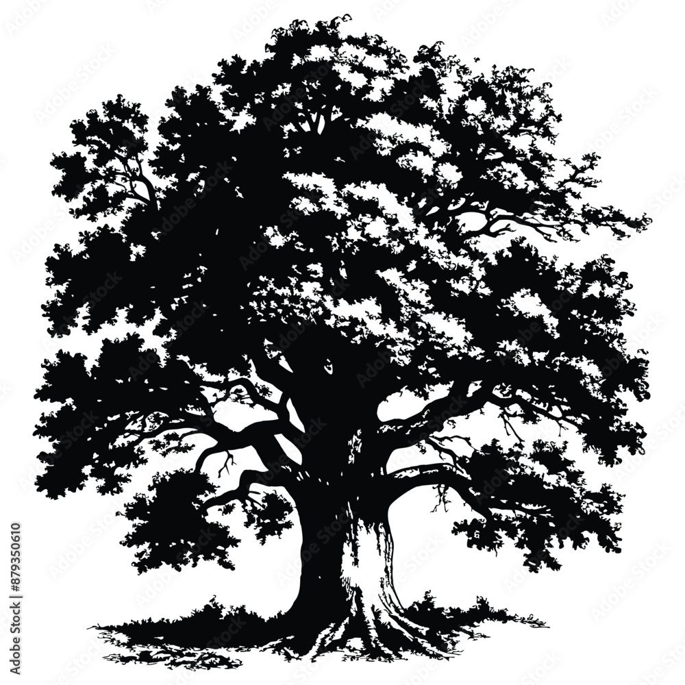 custom made wallpaper toronto digitalOak tree with leaves isolated on white background. Vintage sketch vector illustration