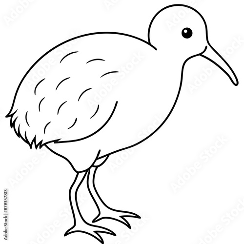 Kiwi bird vector illustration