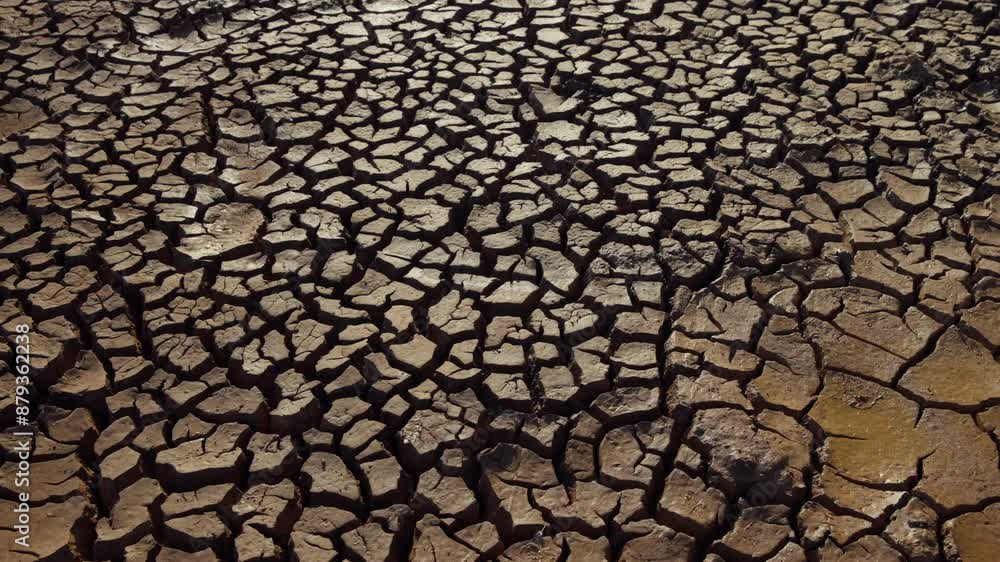 Slider shot of fracutured wet ground in the savanna during the evening in kenya Slider shot of fracutured wet ground in the savanna during the evening in kenya