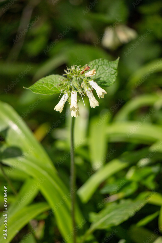 Bright green spring blooming nature of flowers and trees. Bright green spring blooming nature of flowers and trees.