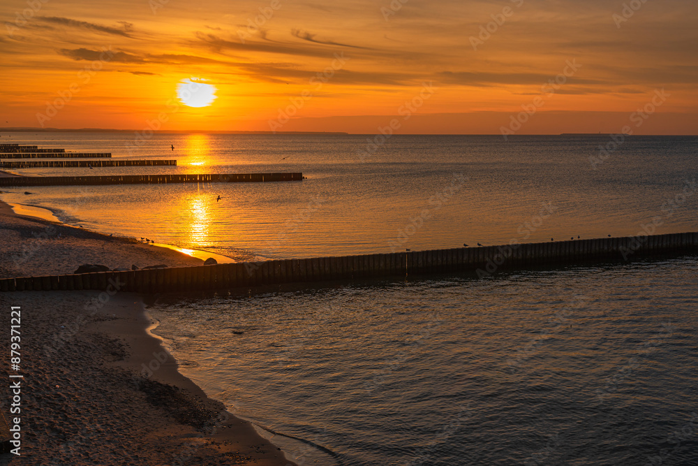 View of sand beach with wooden breakwaters on the Baltic Sea coast on sunset in Zelenogradsk. Russia