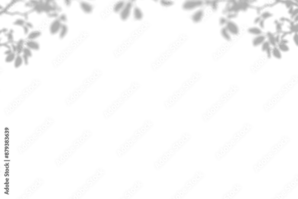 Plant shadow png, Botanical shadow in transparent background, design palm tropical leaves. Black and white branch shadow overlay effect. For business cards, Plant shadow png, Botanical shadow in transparent background, design palm tropical leaves. Black and white branch shadow overlay effect. For business cards,