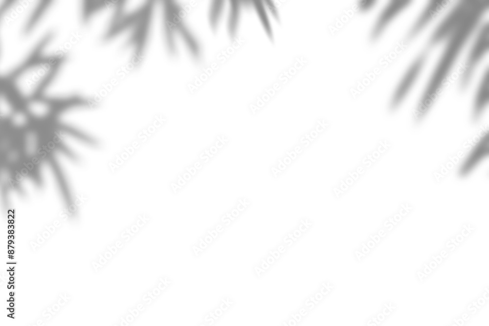 Fototapeta premium Plant shadow png, Botanical shadow in transparent background, design palm tropical leaves. Black and white branch shadow overlay effect. For business cards, 