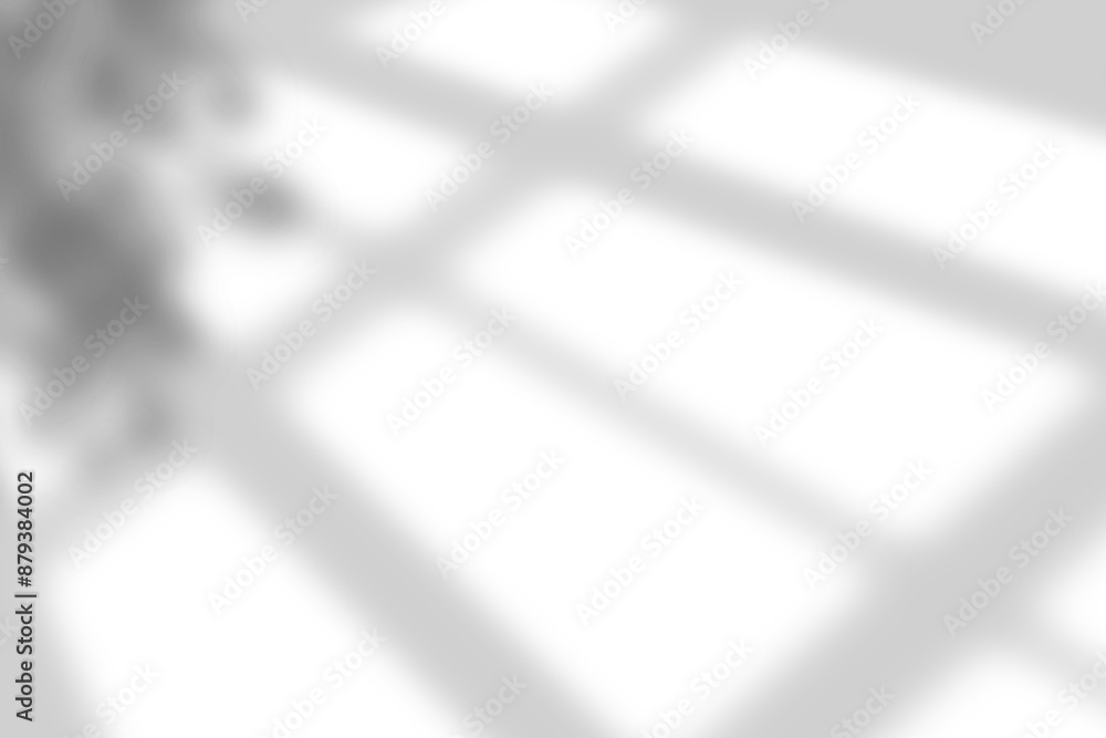 Plant shadow png, Botanical shadow in transparent background, design palm tropical leaves. Black and white branch shadow overlay effect. For business cards, Plant shadow png, Botanical shadow in transparent background, design palm tropical leaves. Black and white branch shadow overlay effect. For business cards,